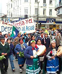 Movilización mapuche